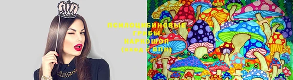 гашик Белоозёрский